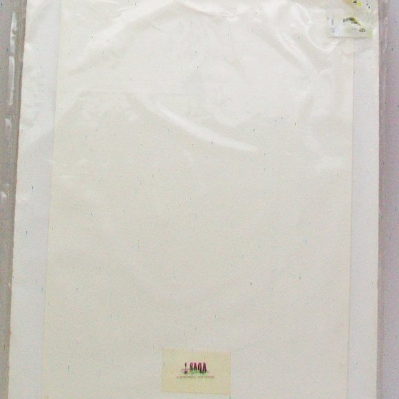 VTG Saga Art Albuquerque New Mexico Print Lithograph Native American Bird Corn - Picture 5 of 6